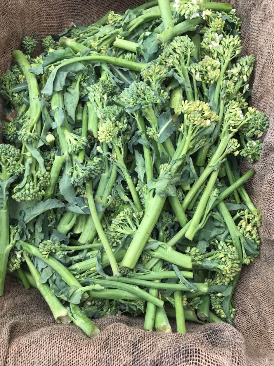 Power Up Kids’ Eating Habits