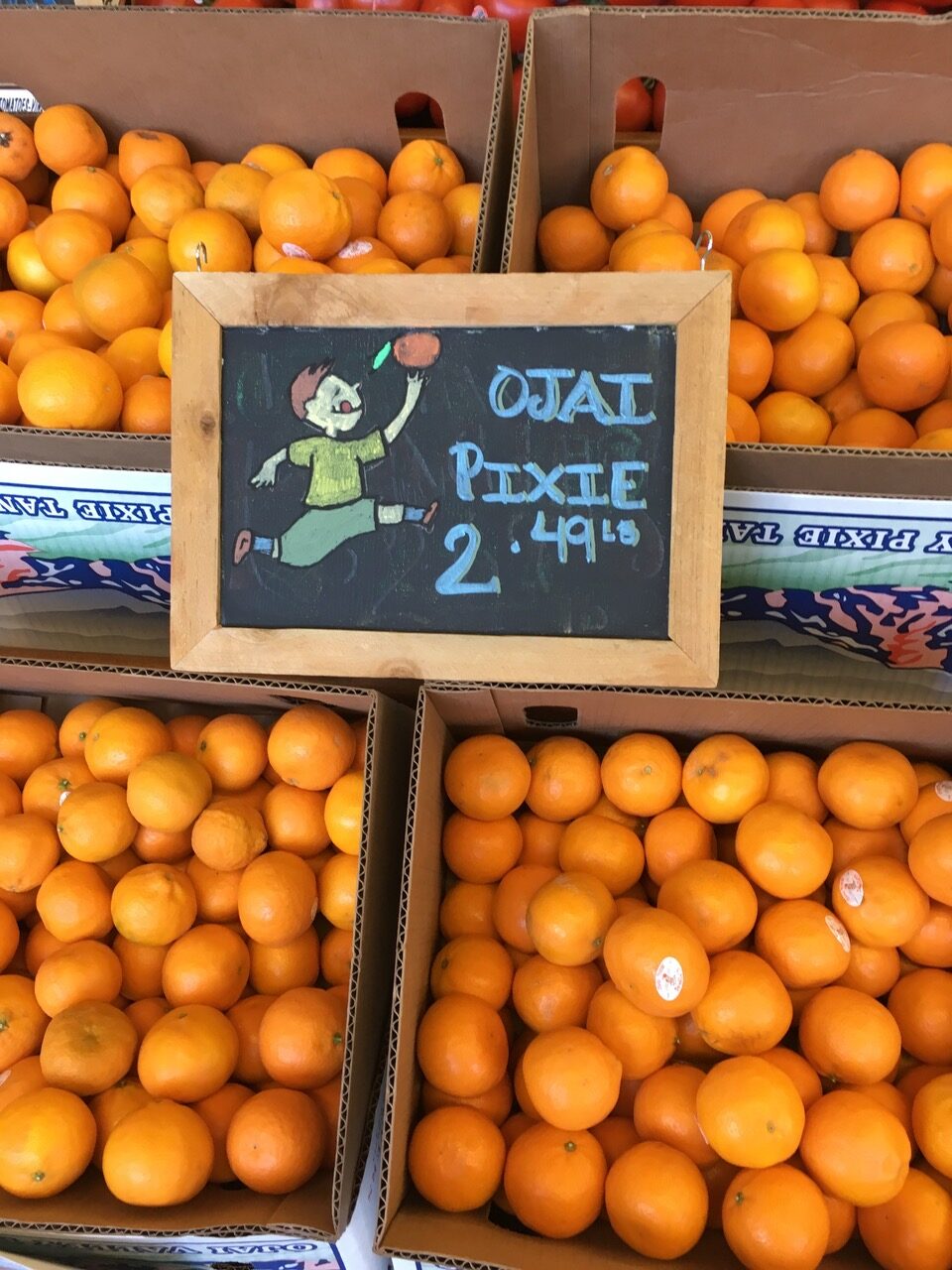 Plant-Based Eating in Ojai - Sharon Palmer, The Plant Powered Dietitian
