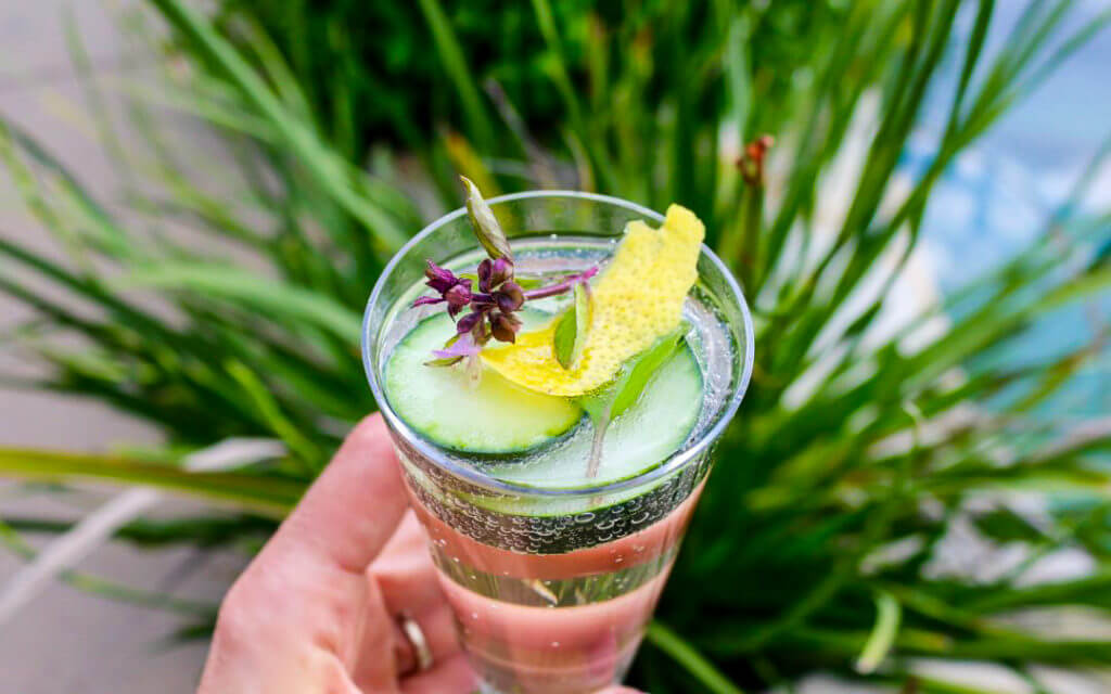 Cucumber Herb Champagne Sparkler--Sharon Palmer, MSFS, RDN