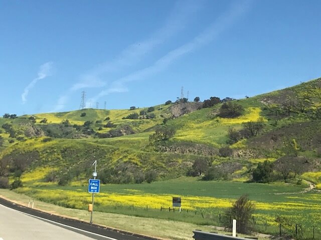 Plant-Based Eating in Ojai, California