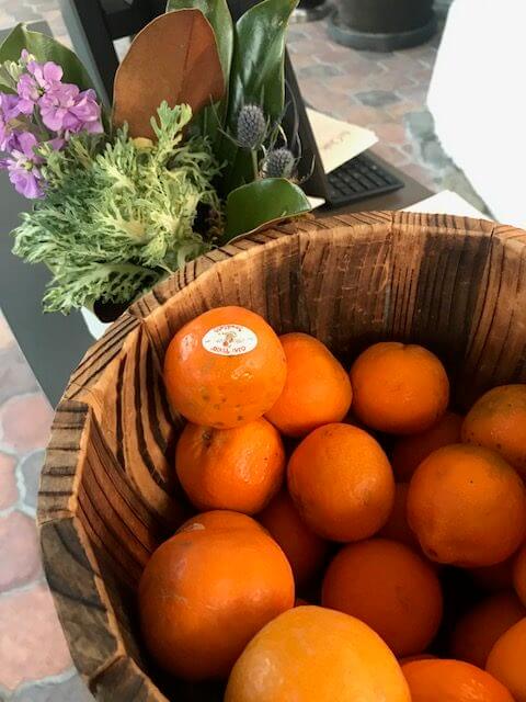 Plant-Based Eating in Ojai, California