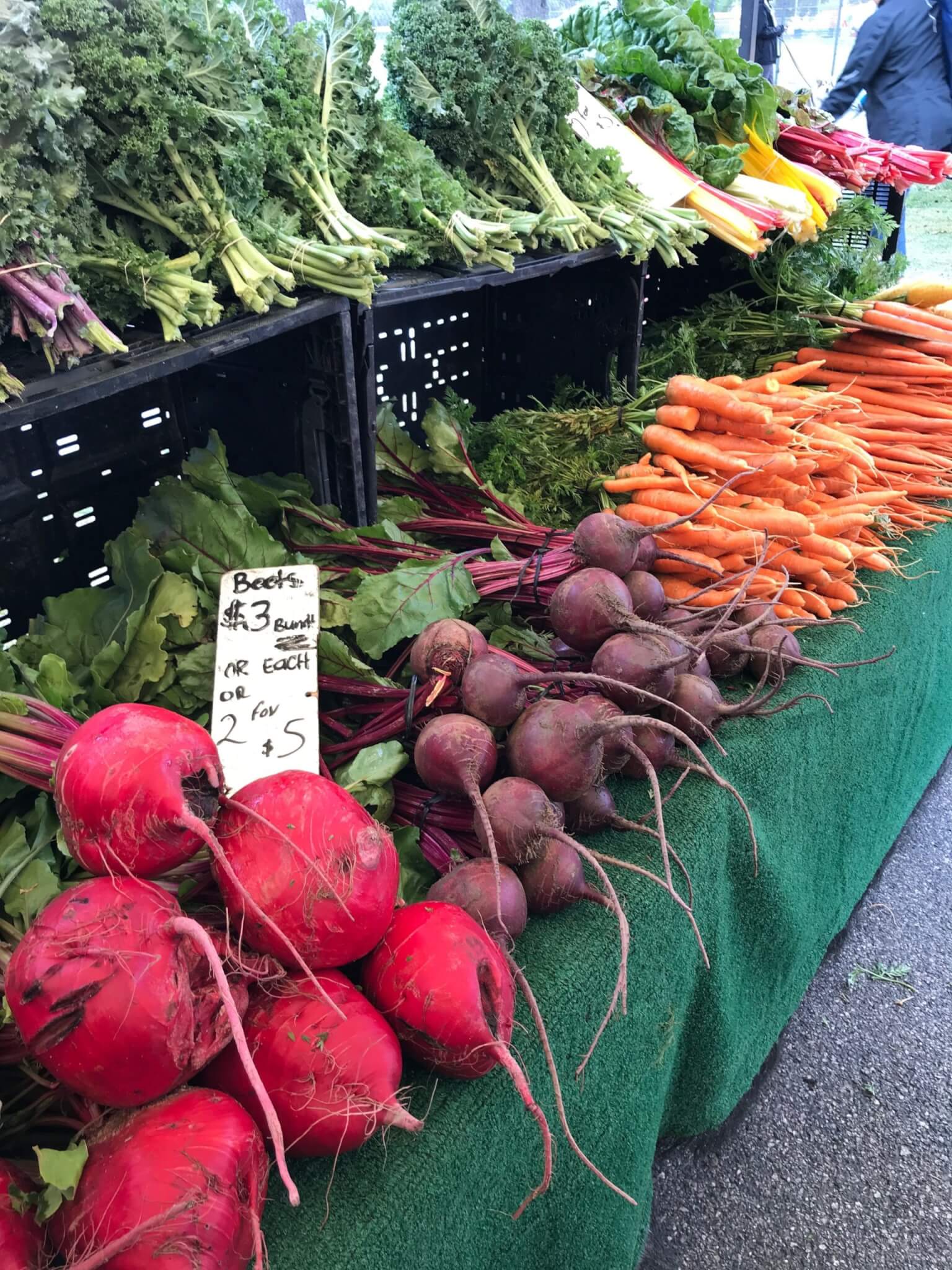 Top 12 Essential Foods to Shelter in Place