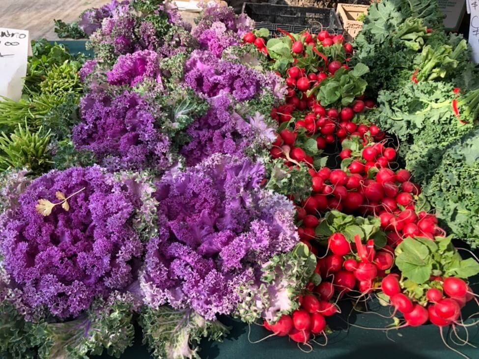 Fighting Food Insecurity