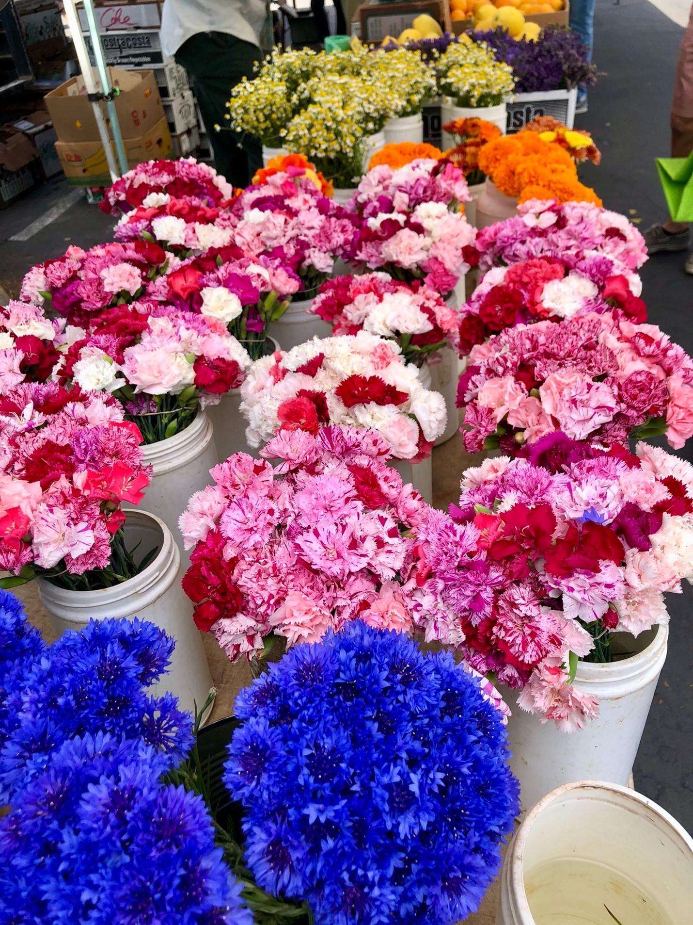 Edible Flowers, Pretty and Tasty