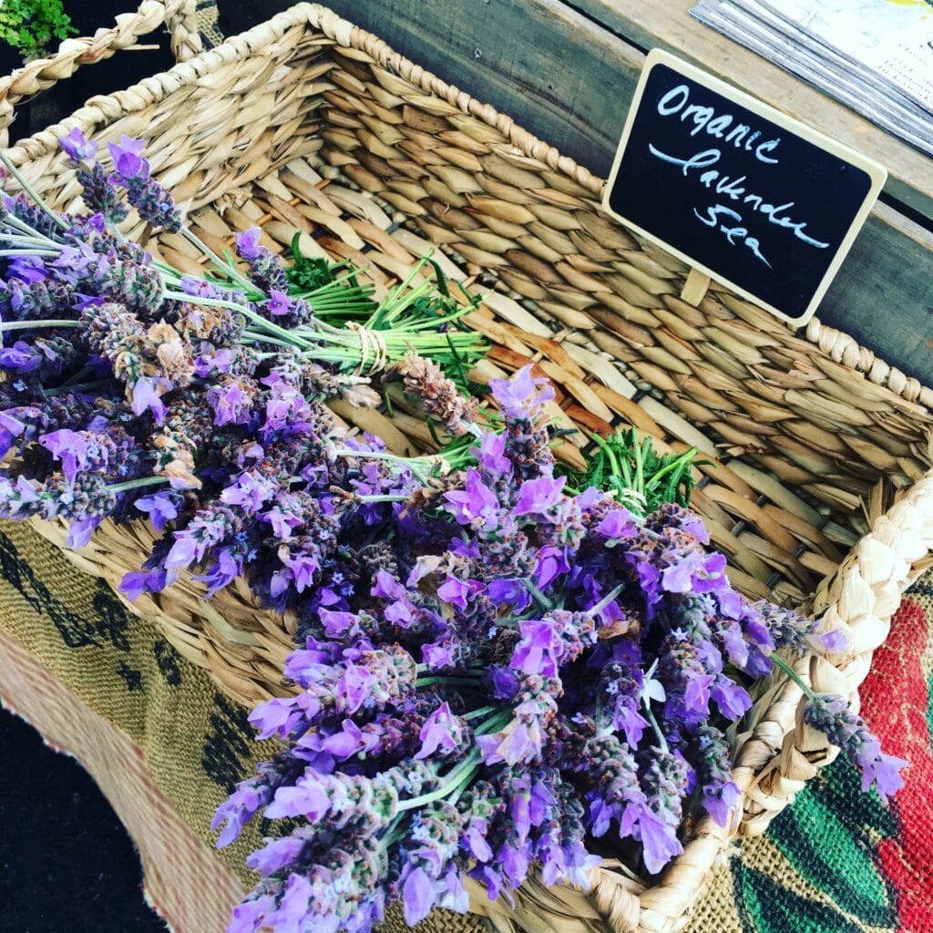 Edible Flowers, Pretty and Tasty