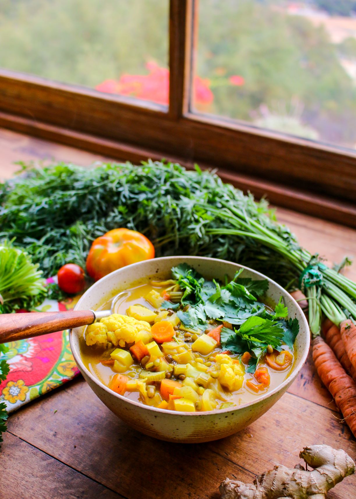 Curried Mung Bean Vegetable Soup