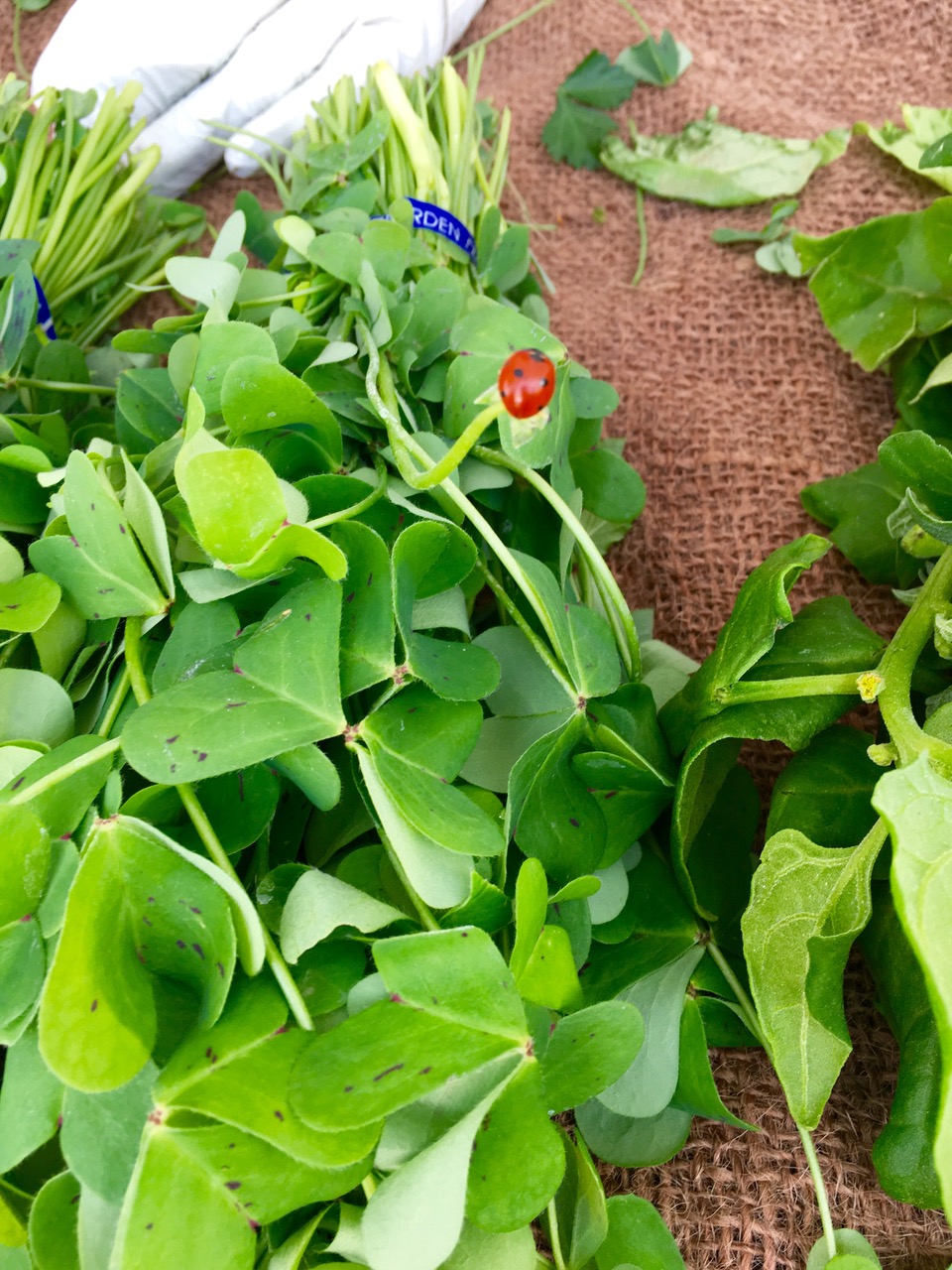 what is a farmers market